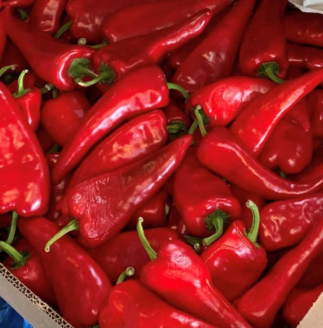 Crimson Peppers