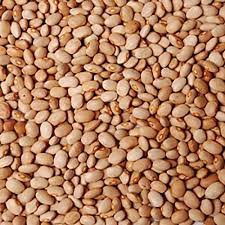 Honey Beans