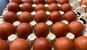 FRESH ORGANIC EGGS