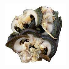 Snail