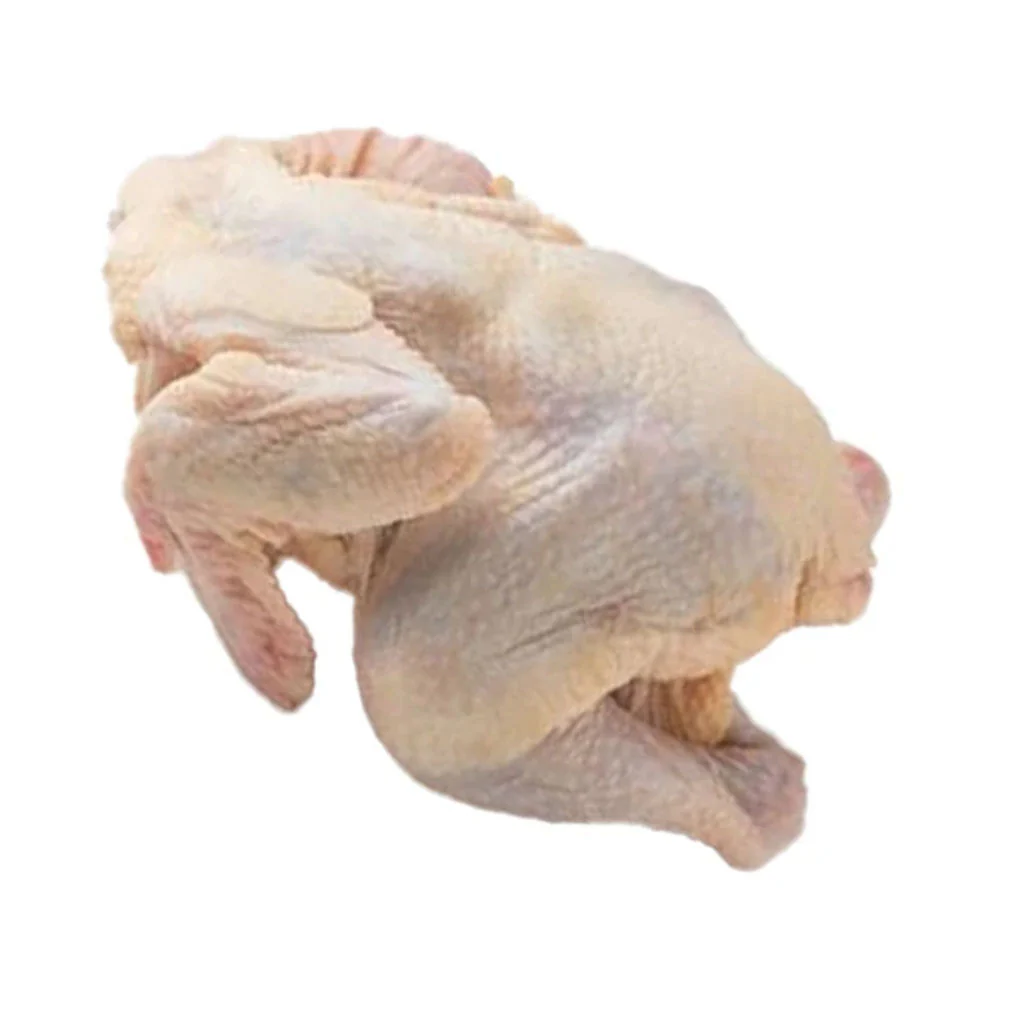 Stewing Hen (Old Layers – Chicken)